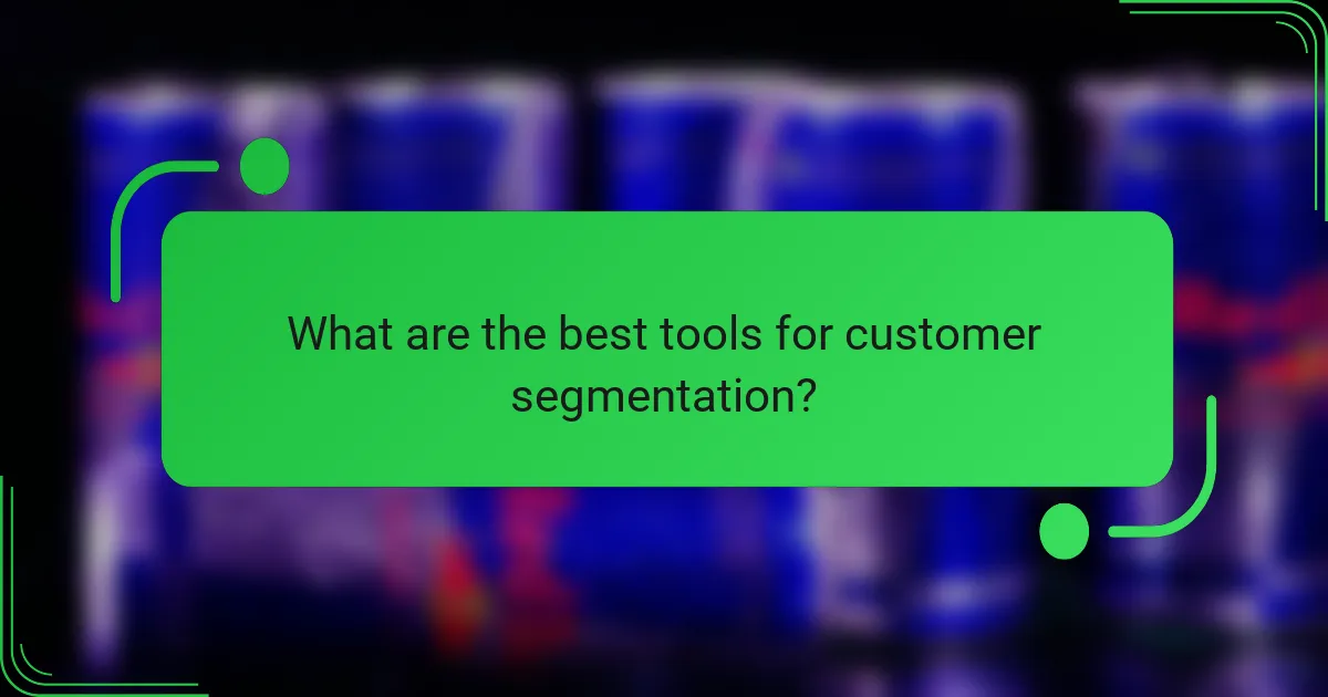 What are the best tools for customer segmentation?